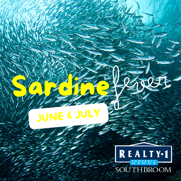 Sardine-Season-Blog-Post